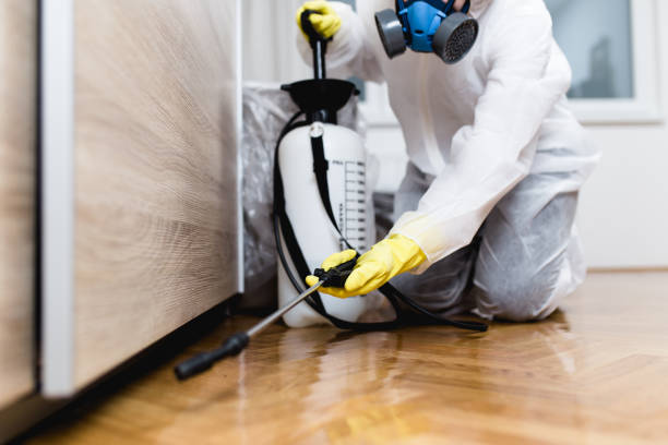 Best Best Pest Control Companies  in Castle Dale, UT