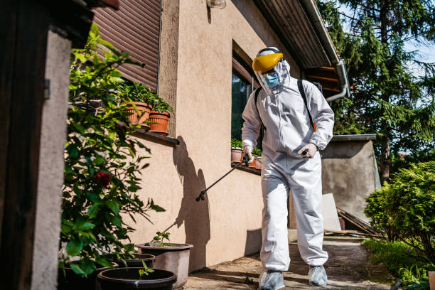 Best Local Pest Control Services  in Castle Dale, UT