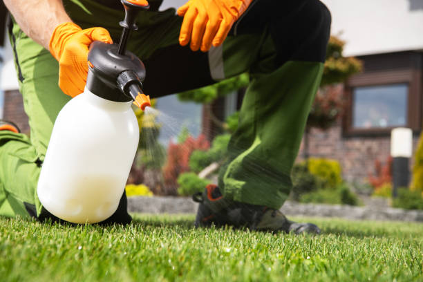 Best Pest Prevention Services  in Castle Dale, UT