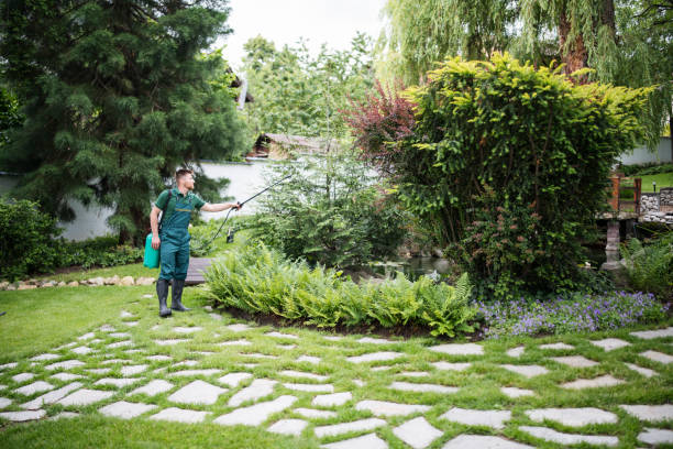 Best Wasp Removal Services  in Castle Dale, UT