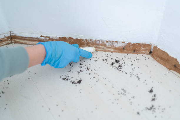 Best Pest Removal Services  in Castle Dale, UT